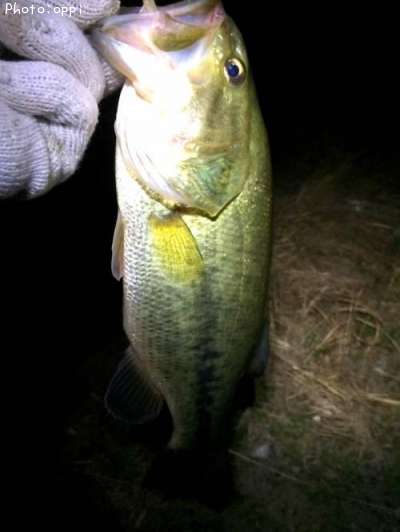 �֥�å��Х�