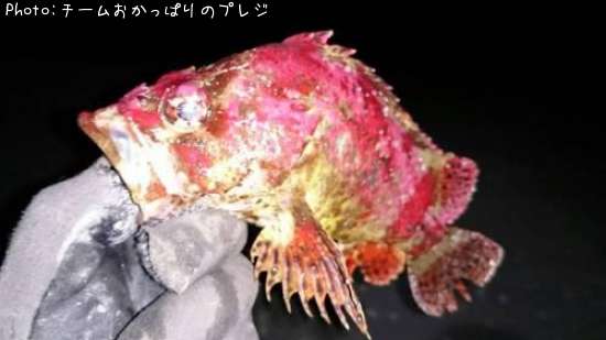 �������Х�