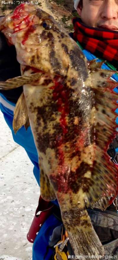 �٥å�������