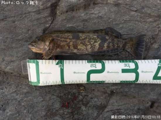 �����ʥ�