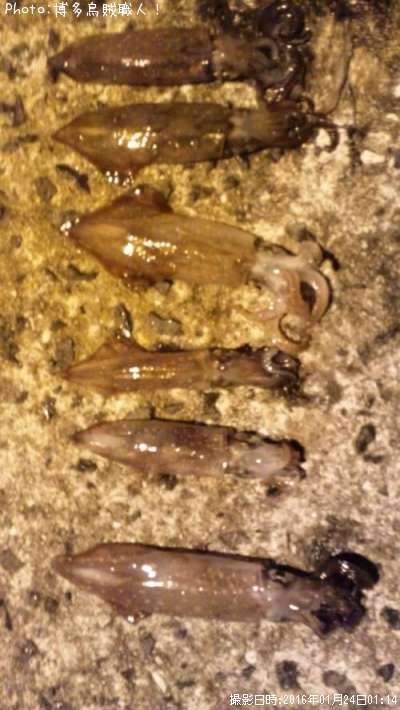 ���󥵥�����