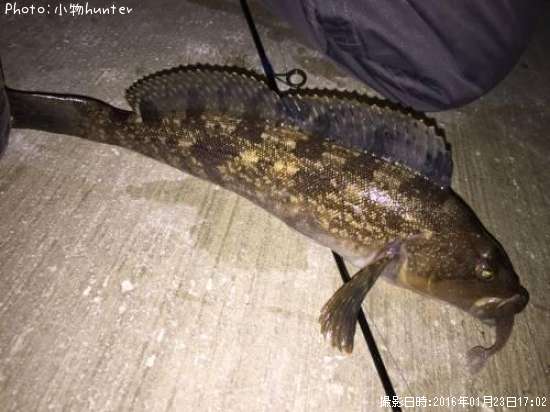 �����ʥ�