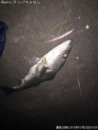 �����Х�