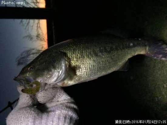 �֥�å��Х�