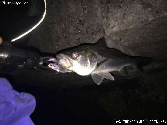 �����Х�