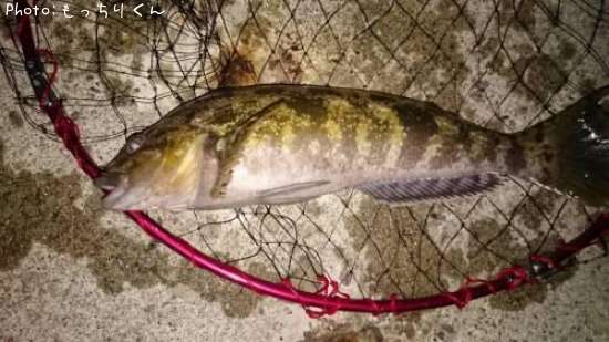 �����ʥ�