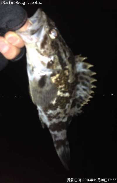 �����Υ���Х�