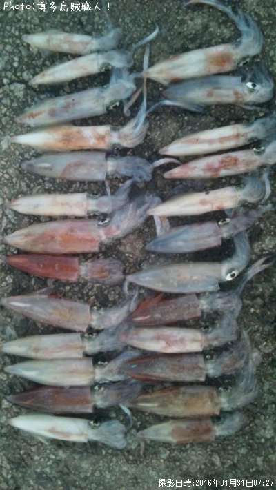 ���󥵥�����