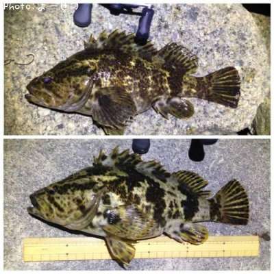 �����Υ���Х�