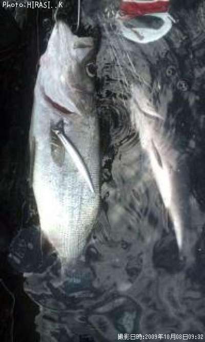 �ҥ饹����