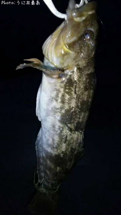 �����ʥ�