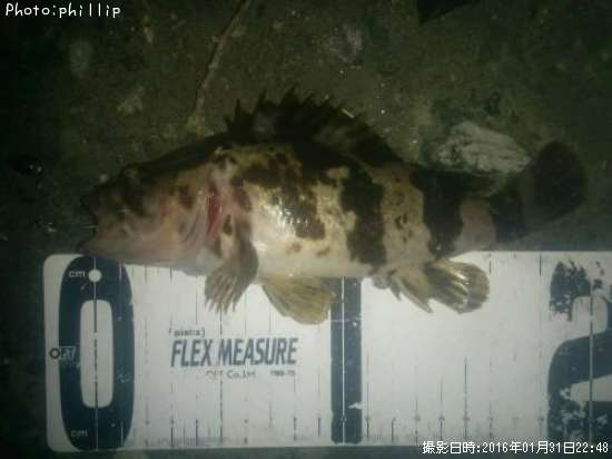 �����Υ���Х�