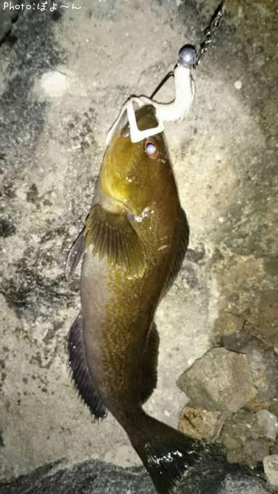 �����ʥ�