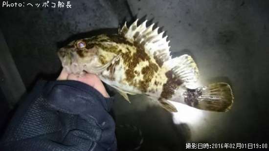 �����Υ���Х�