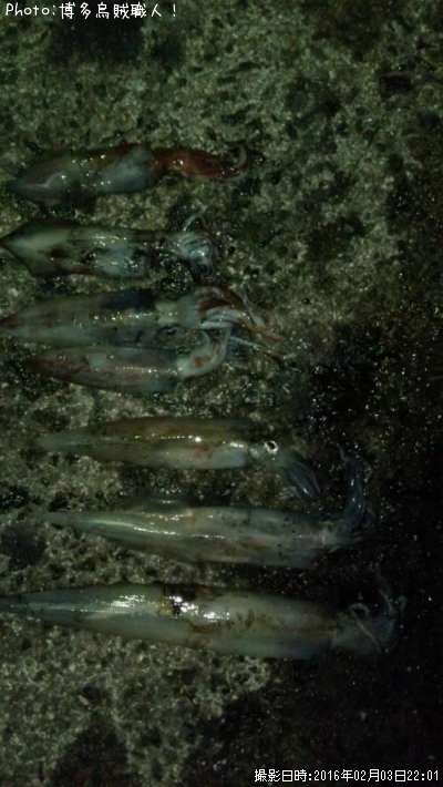 ��ꥤ�������󥵥�����