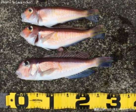 ���ޥ���