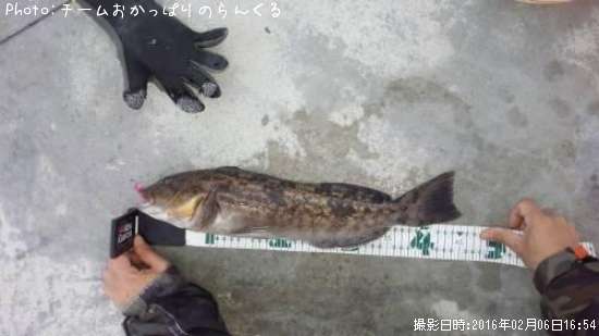 �����ʥ�