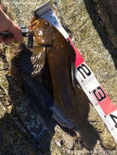 �����ʥ�