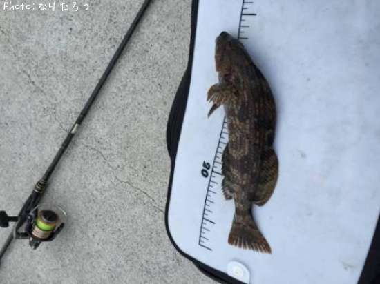 �����ʥ�