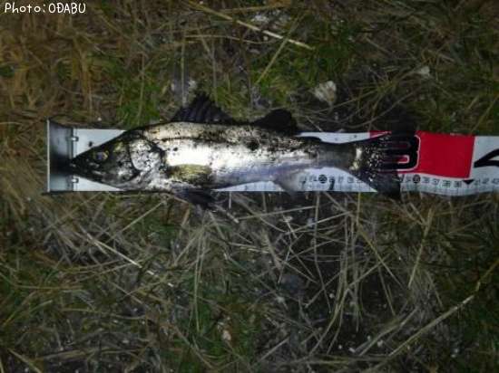 �����Х�