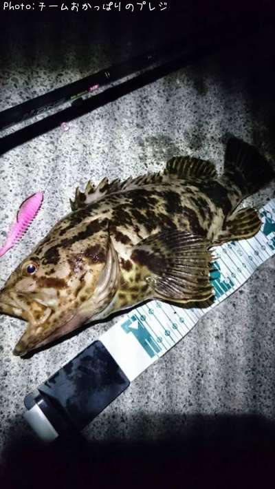 �����Υ���Х�