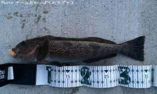 �����ʥ�