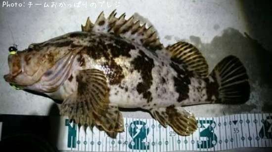 �����Υ���Х�