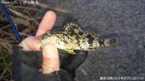 �����Υ���Х�