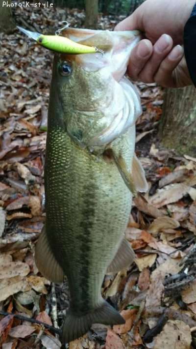 �֥�å��Х�