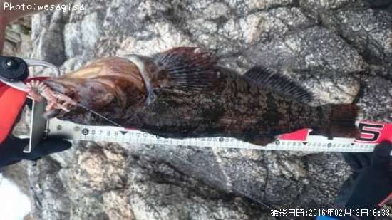 �����ʥ�