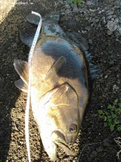 �֥�å��Х�