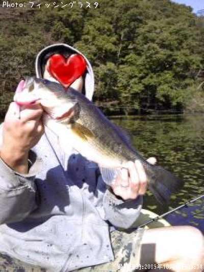 �֥�å��Х�