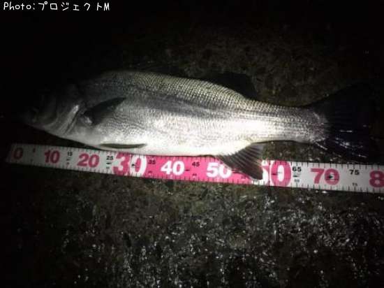 �ҥ饹����