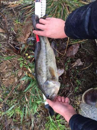 �֥�å��Х�