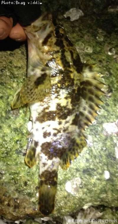 �����Υ���Х�