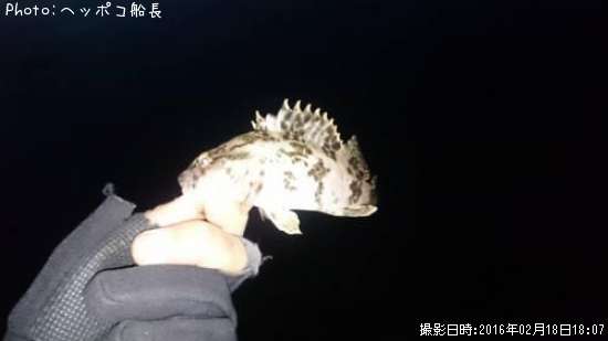 �����Υ���Х�