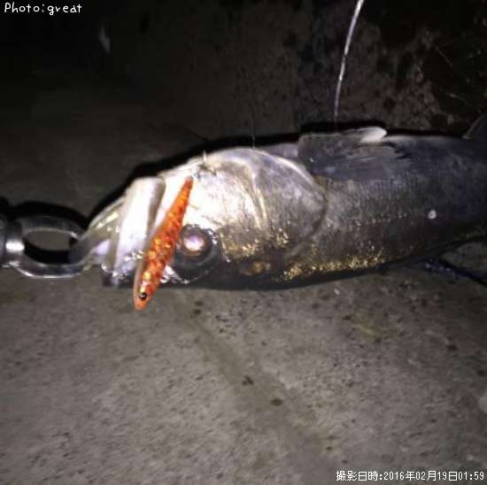 �����Х�