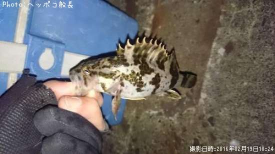 �����Υ���Х�