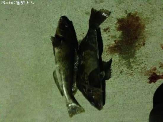 �����ʥ�