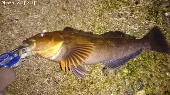 �����ʥ�