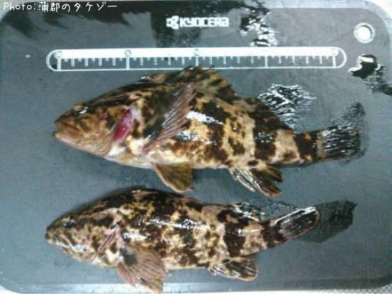 �����Υ���Х�