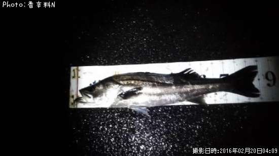 �����Х�