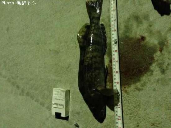 �����ʥ�