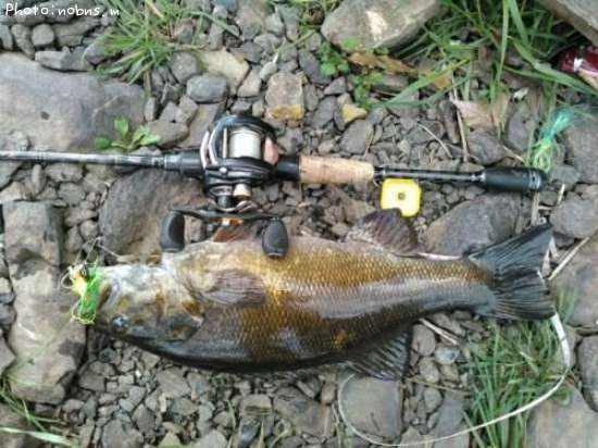 �֥�å��Х�