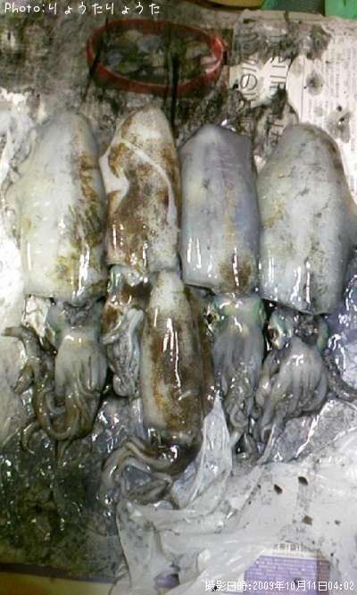 �����ꥤ��