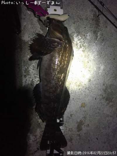 �����ʥ�