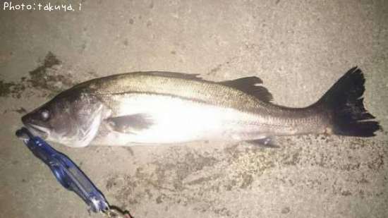 �����Х�