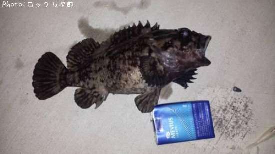 ���������ʡ���