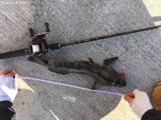 �����ʥ�