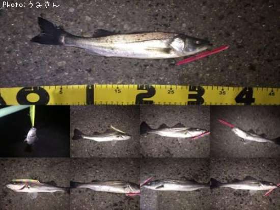 �����Х�